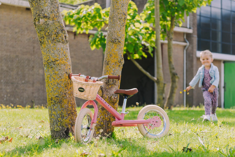 Trybike - Tricycle and Balance Bike Combo