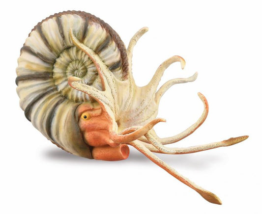 CollectA | Pleuroceras Ammonite Figurine