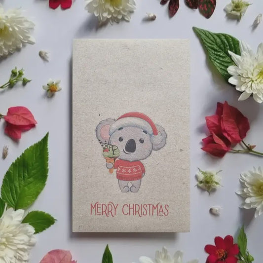 Christmas Koala - Australian Wildflower Seeds