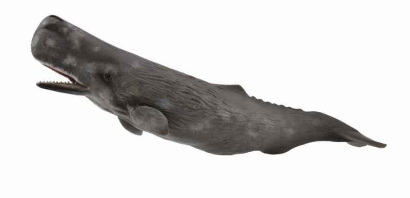 CollectA | Sperm Whale Figurine