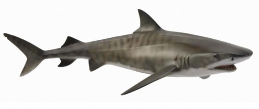 CollectA | Tiger Shark Figurine