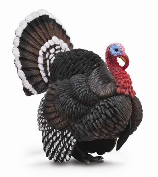 CollectA | Turkey Figurine