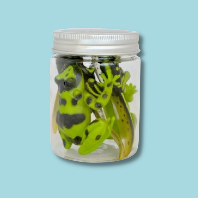 Lifecycle of a Frog Jar