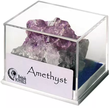 Rocks & Minerals Case