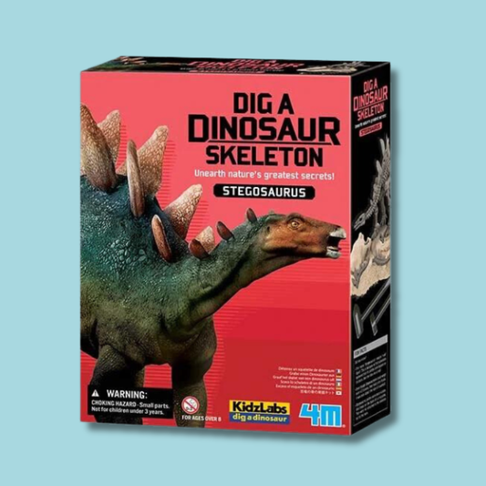 Dig A Dinosaur Skeleton | Stegosaurus
