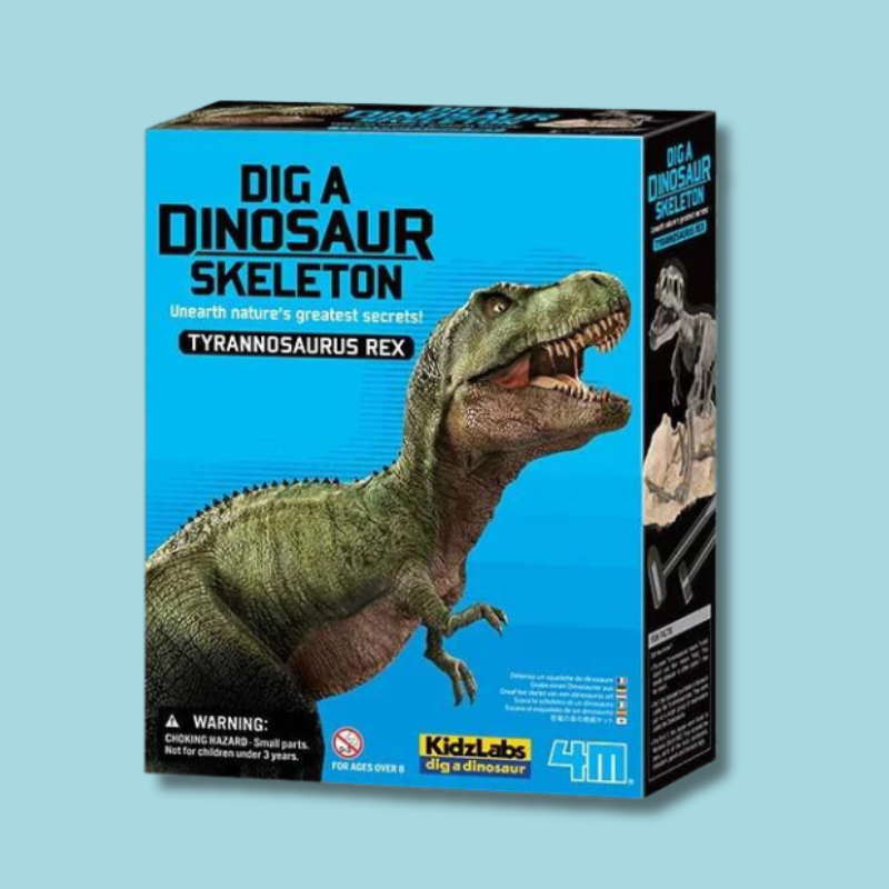 Dig A Dinosaur Skeleton | T-Rex