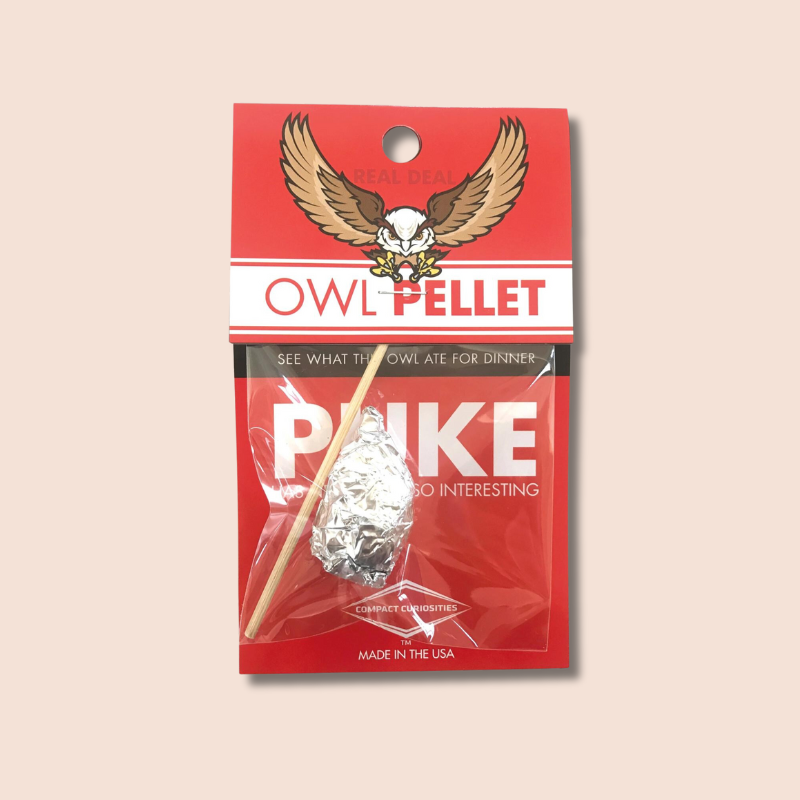 Owl Pellet | See What This Owl Ate For Dinner