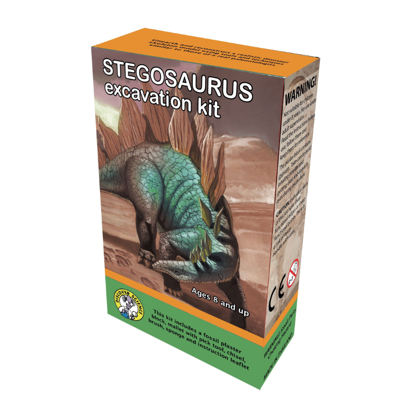 Dinosaur Excavation Kit | Stegosaurus