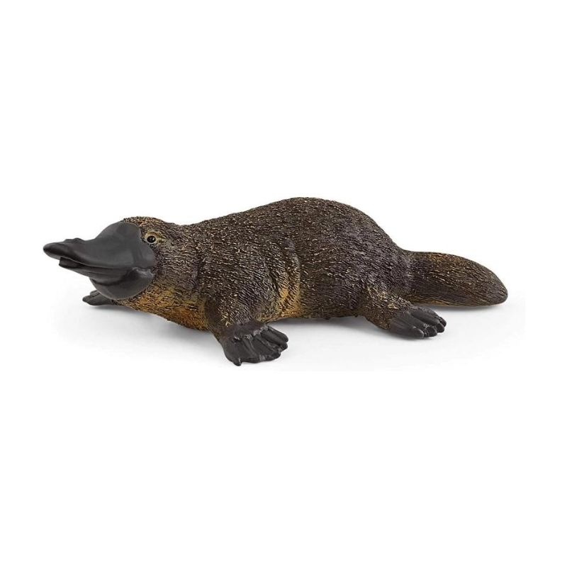 Schleich | Platypus Figurine
