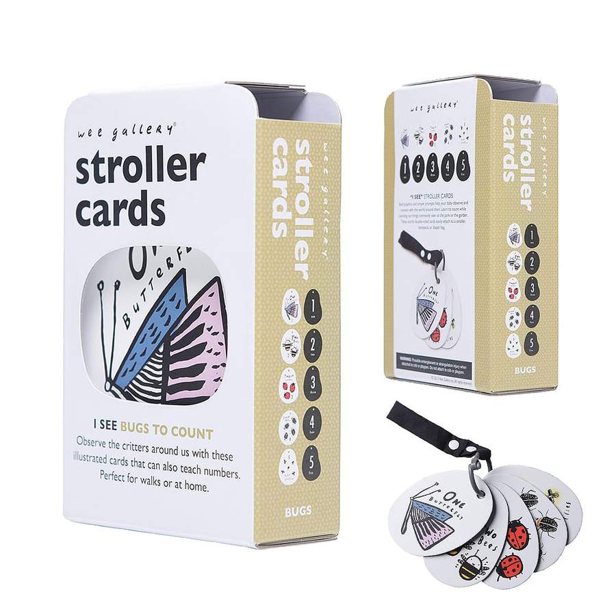 Stroller Cards | I See Bugs to Count